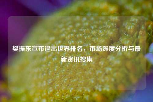 樊振东宣布退出世界排名，市场深度分析与最新资讯搜集