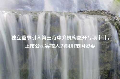 独立董事引入第三方中介机构展开专项审计，上市公司实控人为铜川市国资委