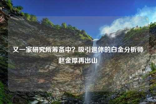 又一家研究所筹备中？吸引退休的白金分析师赵金厚再出山