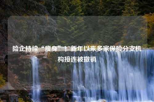 险企持续“瘦身”！新年以来多家保险分支机构接连被撤销