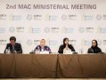 COP29：聚焦红树林生态系统保护，阿联酋引领全球合作